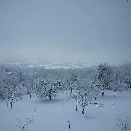 Bratya Ilievi * Vlaychovtsi