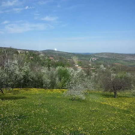 Bratya Ilievi Vlaychovtsi