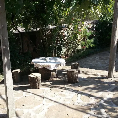 Bratya Ilievi